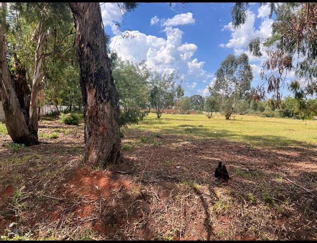 2,594M² VACANT LAND FOR SALE IN DAGGAFONTEIN